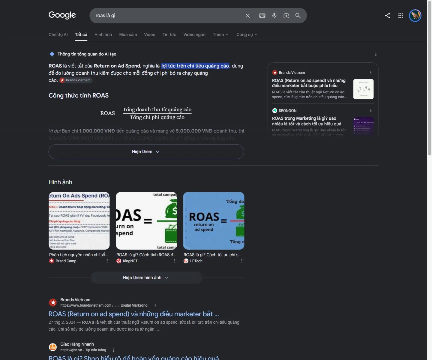 Google Search – truy vấn roas là gì – AI Overview trích dẫn trực tiếp nguồn Brands Vietnam, minh hoạ mục tiêu GEO hiện đại