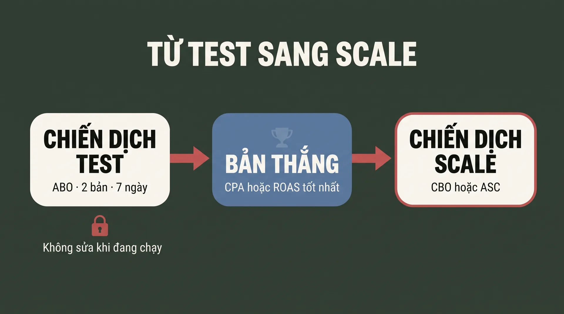 Quy trình từ chiến dịch test ABO hai bản bảy ngày, qua bản thắng, sang chiến dịch scale CBO hoặc ASC
